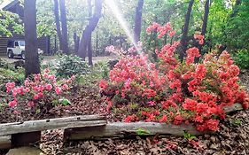 Cherokee Mountain Log Cabins